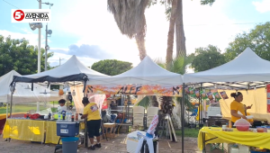 Aceleraron motores en la Feria del Auto.