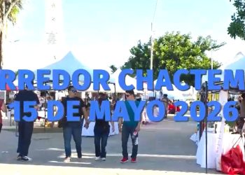 Camina local, vive Chactemal