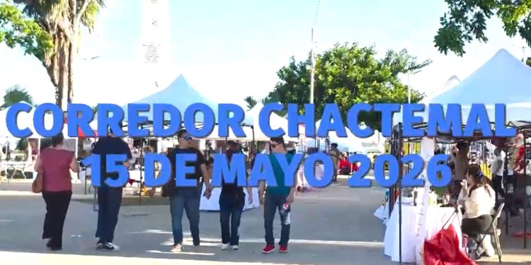Camina local, vive Chactemal