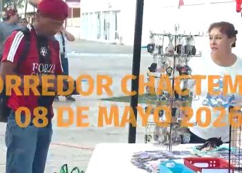 Chactemal vibra arte cultura y comunidad en un solo lugar