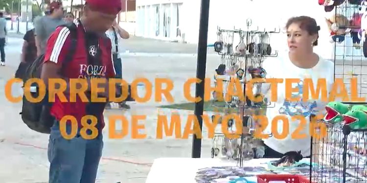 Chactemal vibra arte cultura y comunidad en un solo lugar