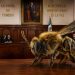Las abejas serían sujetos de derechos