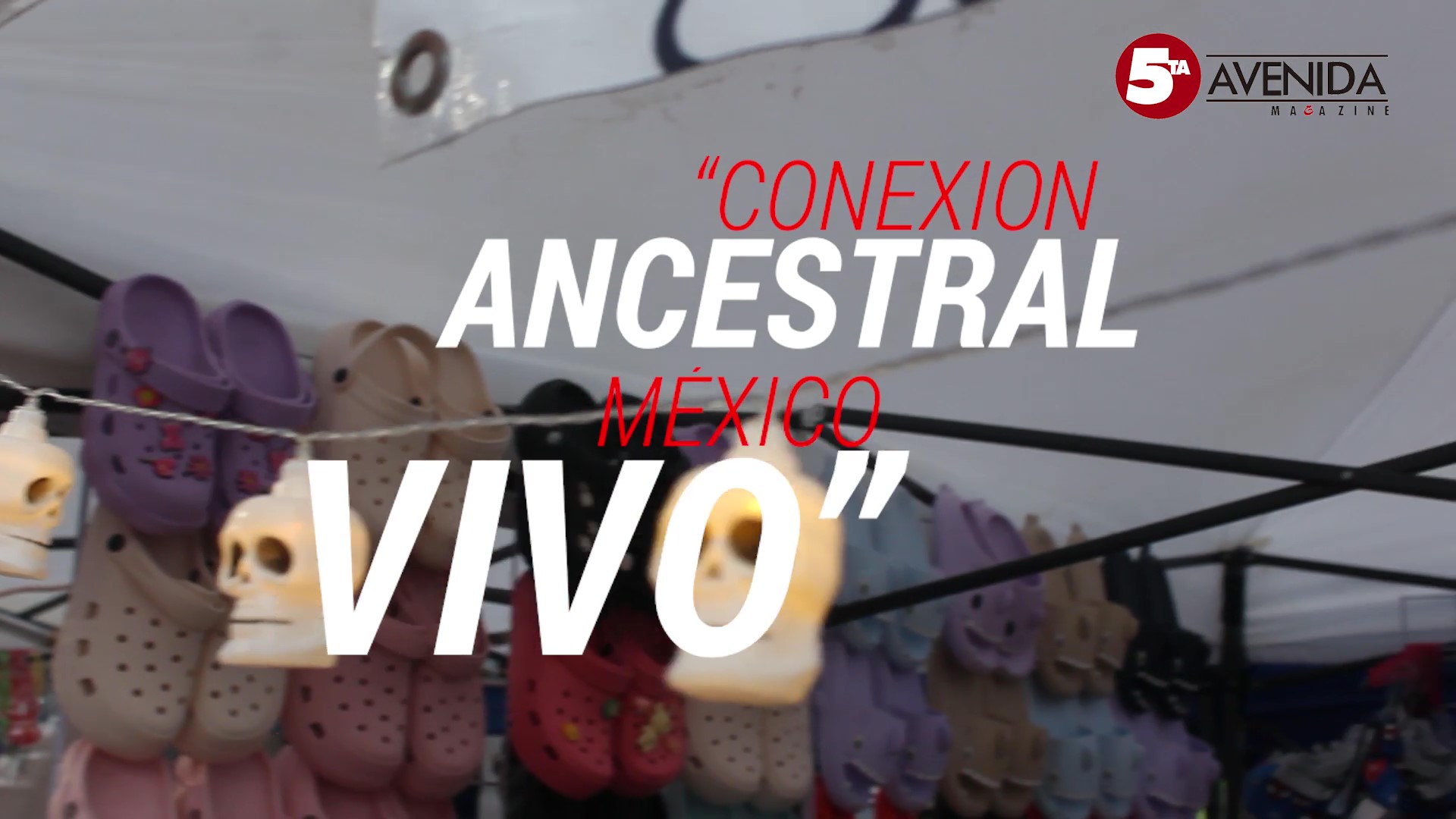 !Así se vivió el primer evento de “Conexión Ancestral México Vivo”!