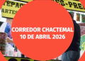 corredor chactemal 10 de abril 2026