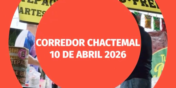 corredor chactemal 10 de abril 2026