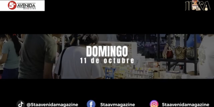 BAZAR PLURICULTURAL – 10 y 11 DE OCTUBRE 2026